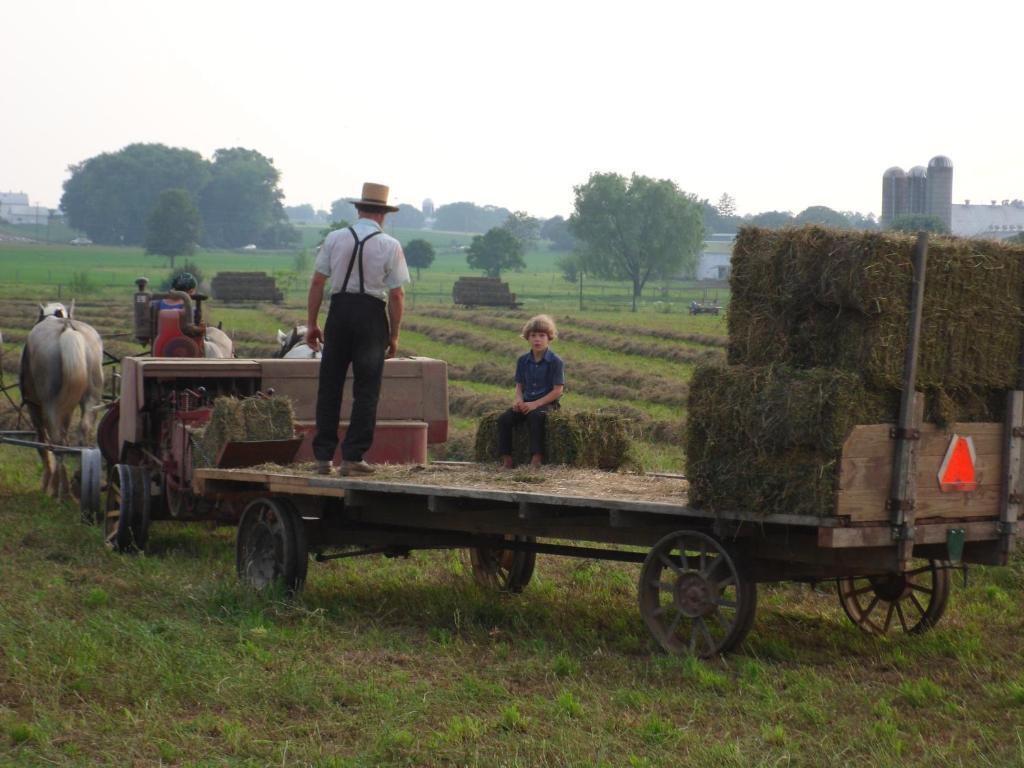 Cherry Lane Motor Inn Amish Country Ronks Buitenkant foto